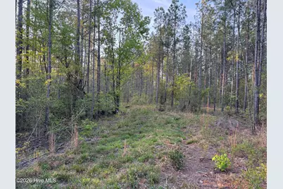 0 Cartledge Creek Road, Rockingham, NC 28379 - Photo 25