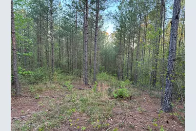 0 Cartledge Creek Road, Rockingham, NC 28379 - Photo 29