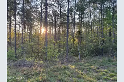 0 Cartledge Creek Road, Rockingham, NC 28379 - Photo 23