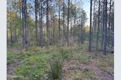 0 Cartledge Creek Road, Rockingham, NC 28379 - Photo 25