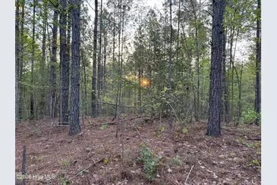 0 Cartledge Creek Road, Rockingham, NC 28379 - Photo 27