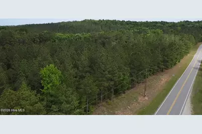 0 Cartledge Creek Road, Rockingham, NC 28379 - Photo 5