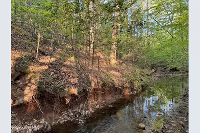 0 Cartledge Creek Road, Rockingham, NC 28379 - Photo 11