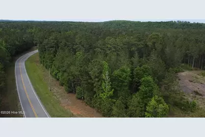 0 Cartledge Creek Road, Rockingham, NC 28379 - Photo 3