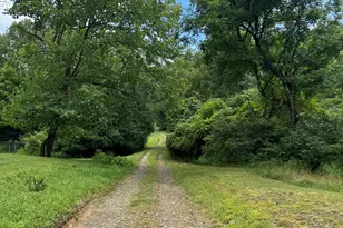 1038 Blackburn Hollow Rd, Purlear, NC 28665 - Photo 39