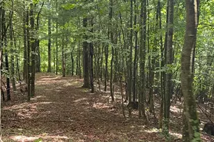 1038 Blackburn Hollow Rd, Purlear, NC 28665 - Photo 35