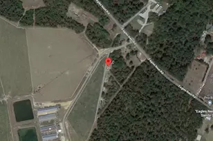 882 Eagles Nest Rd, Dudley, NC 28333 - Photo 3