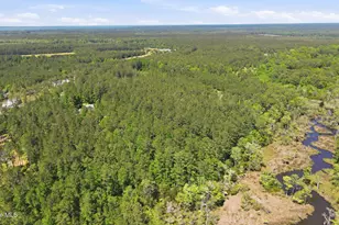 123 Antebellum Dr, Havelock, NC 28532 - Photo 49
