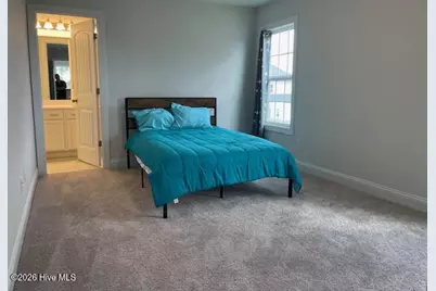 510 White Shoal Way, Sneads Ferry, NC 28460 - Photo 19