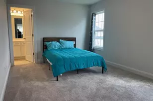 510 White Shl Wy, Sneads Ferry, NC 28460 - Photo 19