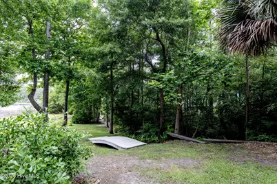 213 Creek View Circle, Sneads Ferry, NC 28460 - Photo 41