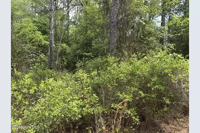 L 113 Chimney Swift Lane SE, Southport, NC 28461 - Photo 7