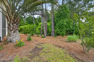 100 Painted Bunting Ct, Hampstead, NC 28443 - Photo 27