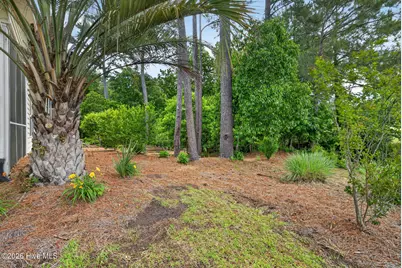 100 Painted Bunting Court, Hampstead, NC 28443 - Photo 35