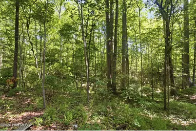 222 Fisher Turnpike Road, Arapahoe, NC 28510 - Photo 43