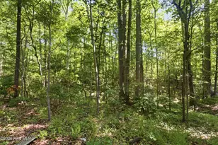 222 Fisher Turnpike Rd, Arapahoe, NC 28510 - Photo 43