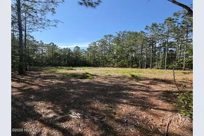 499 Tar Creek Road, Oriental, NC 28571 - Photo 17