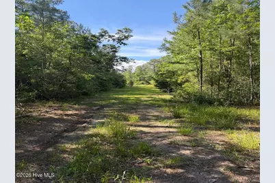 499 Tar Creek Road, Oriental, NC 28571 - Photo 15