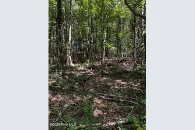 Lot 1 Dan Road, Robbins, NC 27325 - Photo 9