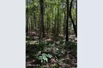 Lot 1 Dan Road, Robbins, NC 27325 - Photo 19