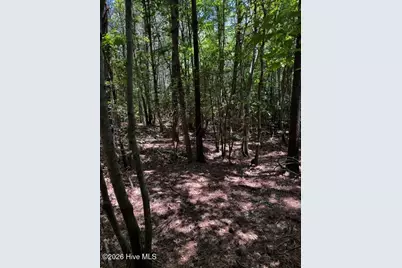 Lot 1 Dan Road, Robbins, NC 27325 - Photo 15
