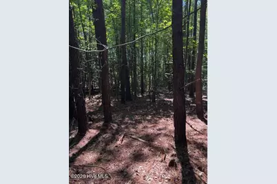 Lot 1 Dan Road, Robbins, NC 27325 - Photo 13