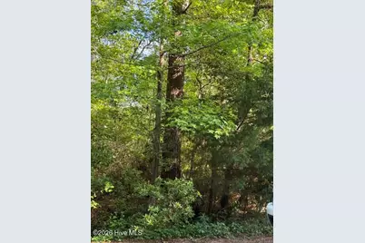 103 Emerson Court, Hampstead, NC 28443 - Photo 1