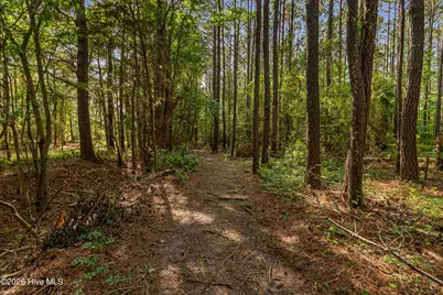 3115 Mill Creek Road, Newport, NC 28570 - Photo 17