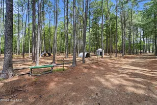 295 Mayberry Ln, Richlands, NC 28574 - Photo 63
