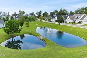 2823 Salvador Way, Castle Hayne, NC 28429 - Photo 49