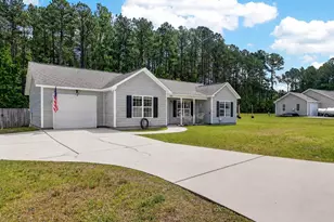 102 Blossom Court, Maple Hill, NC 28454 - Photo 3