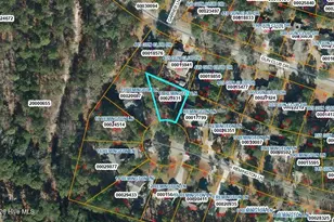 11 Remington Ln, Pinehurst, NC 28374 - Photo 9