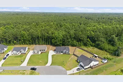 123 Trellis Lane, Vanceboro, NC 28586 - Photo 11