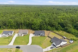 123 Trellis Ln, Vanceboro, NC 28586 - Photo 11