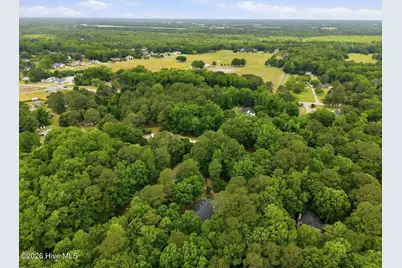 279 Beech Cove Drive, Grimesland, NC 27837 - Photo 39
