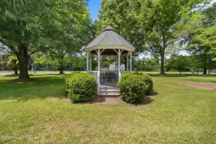 552 Garden Rd, Willard, NC 28478 - Photo 27