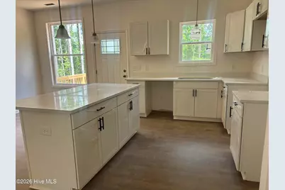 19725 Nc 43, Whitakers, NC 27891 - Photo 3