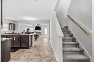 842 Tuscarora Trl, Jacksonville, NC 28546 - Photo 13