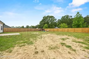 309 Belgian Ct, Richlands, NC 28574 - Photo 31