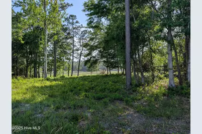 1709 Star Cross Drive SW, Shallotte, NC 28470 - Photo 1