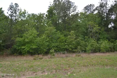 00 Old Barnwell Road Road, Windsor, SC 29856 - Photo 15