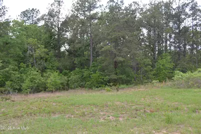 00 Old Barnwell Road Road, Windsor, SC 29856 - Photo 13