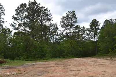 00 Old Barnwell Road Road, Windsor, SC 29856 - Photo 7