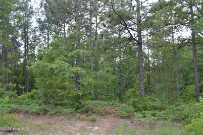00 Old Barnwell Road Road, Windsor, SC 29856 - Photo 17