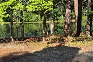 350 Brinkley Rd, Carthage, NC 28327 - Photo 43