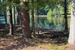 350 Brinkley Rd, Carthage, NC 28327 - Photo 29