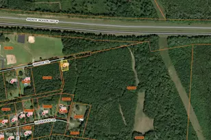728 Warrior Trail, Whiteville, NC 28472 - Photo 3