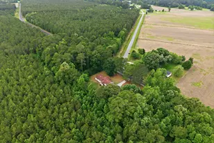 4369 Blackjack-Simpson Rd, Greenville, NC 27858 - Photo 55