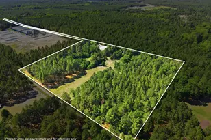 478 Rattlesnake Trail, Aberdeen, NC 28315 - Photo 7