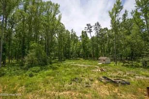 429 Century Ln, Cameron, NC 28326 - Photo 41